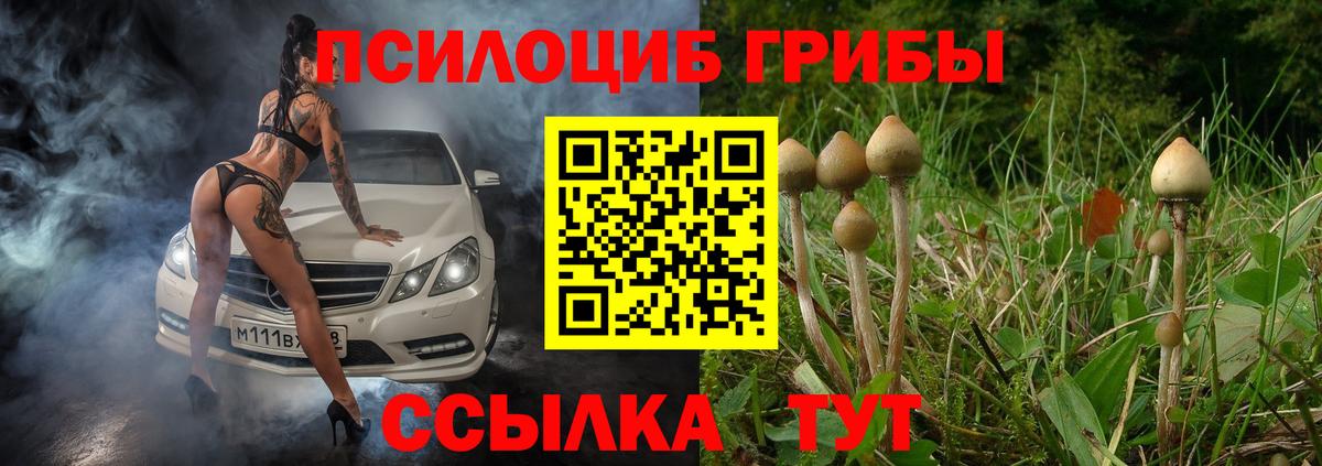 Ялуторовск  Галлюциногенные грибы Magic Shrooms  Вход с VPN 